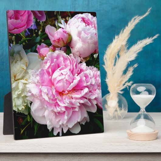 Plaque Photo Pies roses et blanches (Côté)