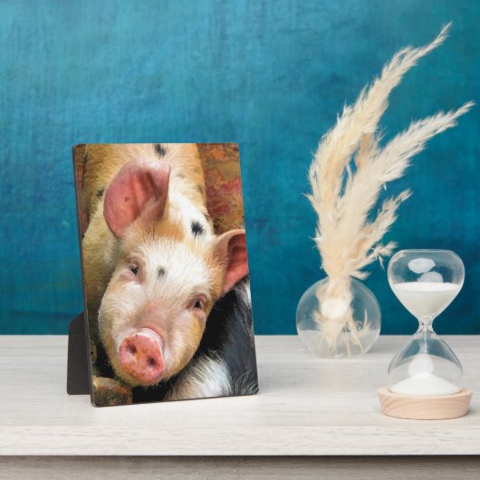 PLAQUE PHOTO PIG (Côté)