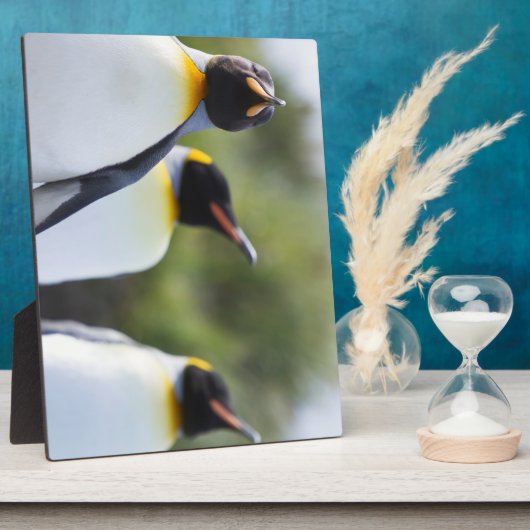 Plaque Photo Pingouins (Côté)