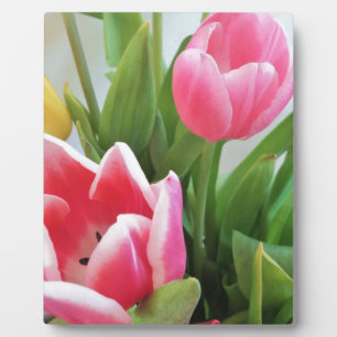 Plaque Photo Pink Tulips, Floral Spring Bouquet, Flowers