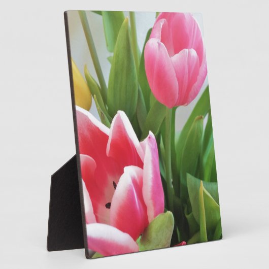 Plaque Photo Pink Tulips, Floral Spring Bouquet, Flowers (Côté)