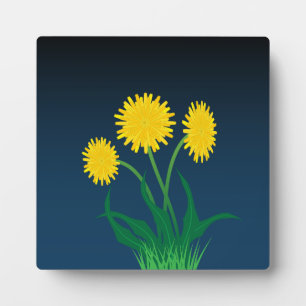 Plaque Photo Pissenlits Jaunes