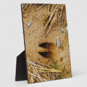 Plaque Photo Piste de cerfs (Côté)