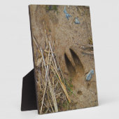 Plaque Photo piste de cerfs (Côté)