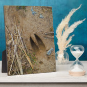 Plaque Photo piste de cerfs (Côté)