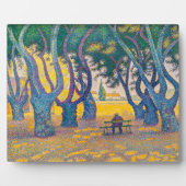 Plaque Photo Place des Lices, St Tropez | Paul Signac | (Devant)