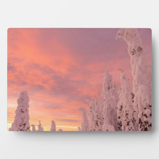 Plaque Photo Plage de corégones | Corégone, Montana (Devant)