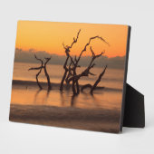 Plaque Photo Plage de Driftwood à Sunrise Jekyll Island Georgia (Côté)