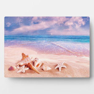 Plaque Photo Plage des coquillages