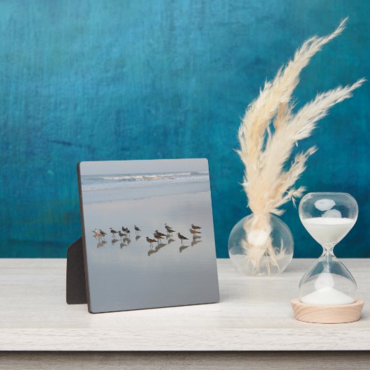 Plaque Photo Plage Oiseaux Océan Vagues Nature Faune Raviers (Insitu)