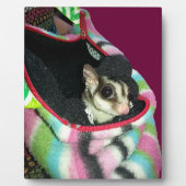 Plaque Photo Planeur à sucre portant un Casquette (Devant)