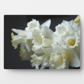 Plaque Photo Plaque-Daffodils Art Décor (Devant)
