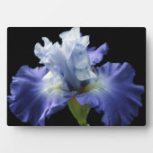 Plaque Photo Plaque-Iris Art Décor (Devant)