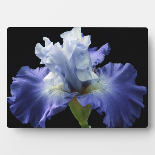 Plaque Photo Plaque-Iris Art Décor (Devant)