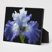 Plaque Photo Plaque-Iris Art Décor (Côté)