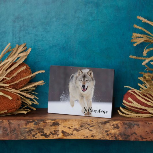 Plaque photo Plaque-Yellowstone Wolf Plaque (Côté)