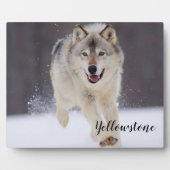 Plaque photo Plaque-Yellowstone Wolf Plaque (Devant)