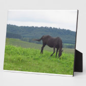 Plaque Photo Plate-forme de prairie d'amour (Côté)