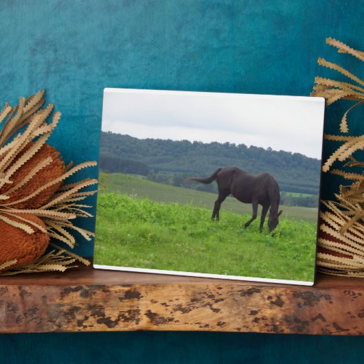 Plaque Photo Plate-forme de prairie d'amour (Côté)