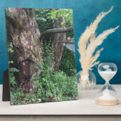 Plaque Photo Pluie estivale molle (Côté)