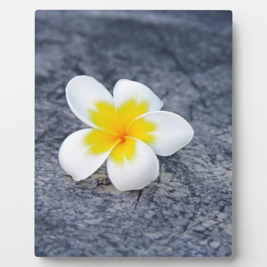 Plaque Photo Plumerias (Devant)