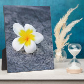 Plaque Photo Plumerias (Côté)