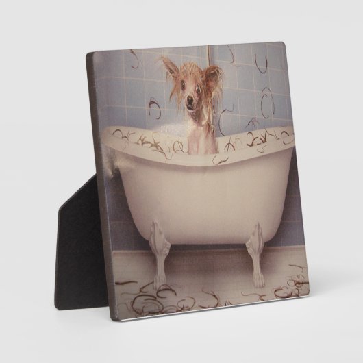 PLAQUE PHOTO POIGNÉE DE BAIGNOIRE (Recto)