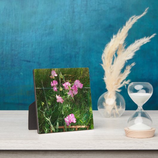 Plaque Photo Pois doux rose (Insitu)