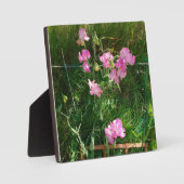 Plaque Photo Pois doux rose (Recto)