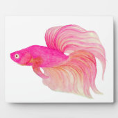 Plaque Photo Poisson combattant rose aquarelle (Devant)
