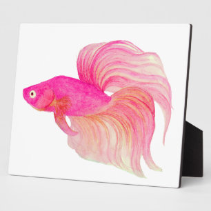 Plaque Photo Poisson combattant rose aquarelle
