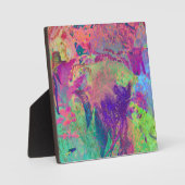 Plaque Photo Poisson psychédélique (Recto)