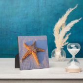 Plaque Photo Poisson Sur Sable Blanc (Insitu)
