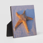 Plaque Photo Poisson Sur Sable Blanc (Recto)