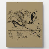 Plaque Photo Poissons Constellation Hevelius 1690 Décor (Devant)