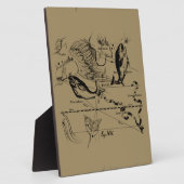 Plaque Photo Poissons Constellation Hevelius 1690 Décor (Côté)