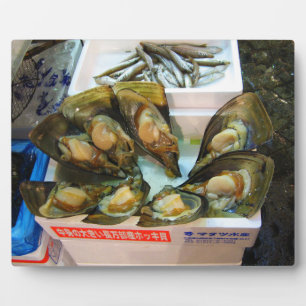 Plaque Photo Poissons de moules géantes Tsukiji, Tokyo, Japon