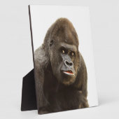 Plaque Photo Pomme de Gorille (Côté)