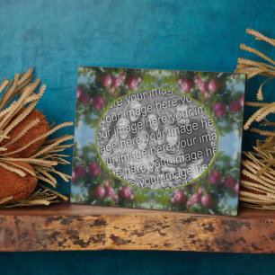 Plaque Photo Pommes rouges dans l'arbre Ajouter votre photo