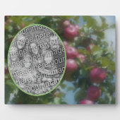 Plaque Photo Pommes Rouges Sur Peinture D'Arbre Ajouter Votre P (Devant)