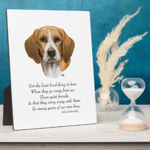 Plaque Photo Pont arc-en-ciel Beagle