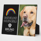 Plaque Photo Pont arc-en-ciel | Mémorial de perte d'animal de c (Côté)