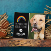 Plaque Photo Pont arc-en-ciel | Mémorial de perte d'animal de c (Côté)