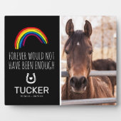 Plaque Photo Pont arc-en-ciel | Objet-souvenir commémoratif de  (Devant)