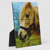 Plaque Photo Pony miniature blond / Cheval Ciel bleu (Côté)