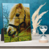 Plaque Photo Pony miniature blond / Cheval Ciel bleu (Côté)