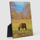Plaque Photo Pony miniature Brown (Côté)