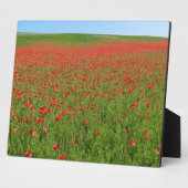 Plaque Photo Poppies alive ! (Côté)