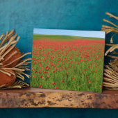 Plaque Photo Poppies alive ! (Côté)