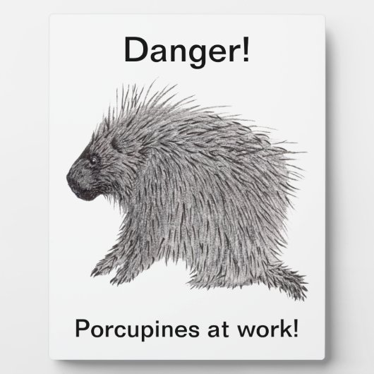 Plaque Photo Porcupine (Devant)